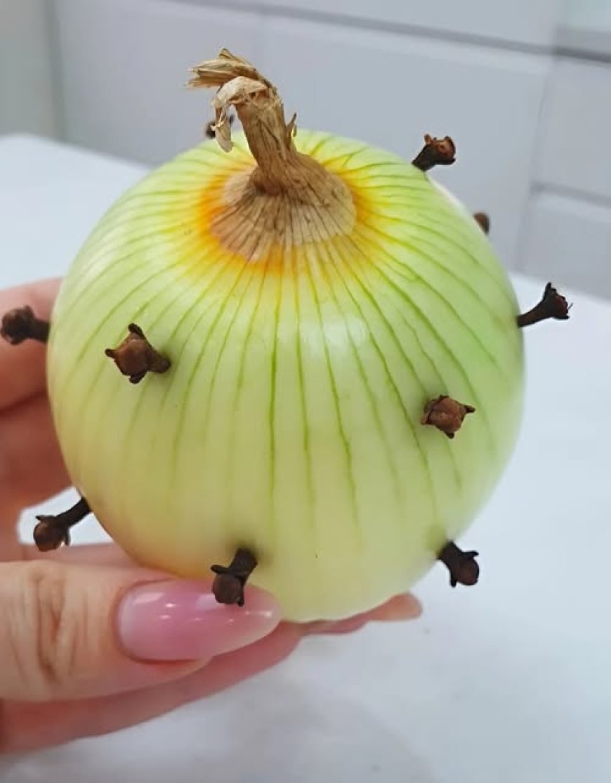 Stilvolle Zwiebel Mit Nelke Bild
